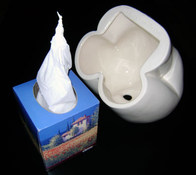 Step 1: Using a cube shaped tissue box, twist the leading tissue to a point.