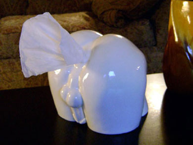 Take Two male tissue dispenser